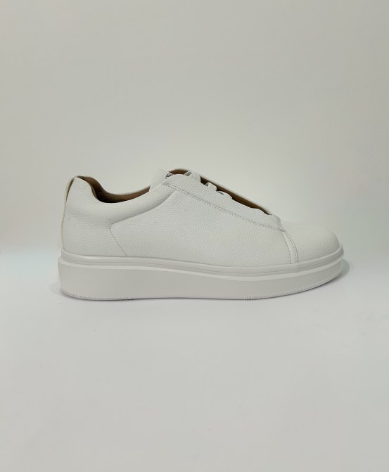 3. Y258 white